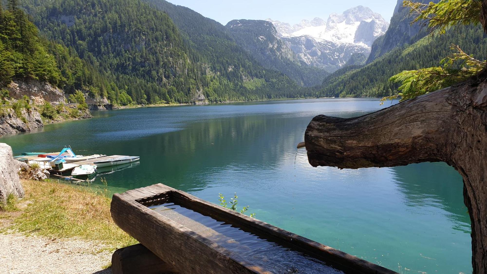 Pension Elisabeth Russbach am Pass Gschütt Exteriér fotografie